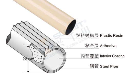 線棒解剖圖