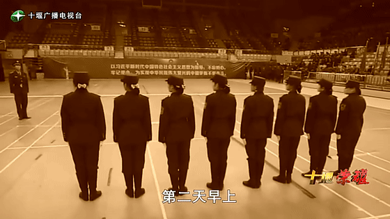 創(chuàng)業(yè)是一條無比艱辛的路，創(chuàng)新更是無限風(fēng)光在險(xiǎn)峰。在男性為主導(dǎo)的商海里，女性創(chuàng)業(yè)創(chuàng)新需要鼓足十萬分的勇氣和力量，是挑戰(zhàn)未來成功的小概率事件。而十堰姑娘楊麗便是這小概率事件中的一個(gè)傳奇，也是女性創(chuàng)業(yè)創(chuàng)新的榜樣。今天就來認(rèn)識(shí)這位傳奇女性-興千田集團(tuán)楊麗。