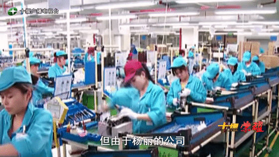 創(chuàng)業(yè)是一條無比艱辛的路，創(chuàng)新更是無限風(fēng)光在險(xiǎn)峰。在男性為主導(dǎo)的商海里，女性創(chuàng)業(yè)創(chuàng)新需要鼓足十萬分的勇氣和力量，是挑戰(zhàn)未來成功的小概率事件。而十堰姑娘楊麗便是這小概率事件中的一個(gè)傳奇，也是女性創(chuàng)業(yè)創(chuàng)新的榜樣。今天就來認(rèn)識(shí)這位傳奇女性-興千田集團(tuán)楊麗。